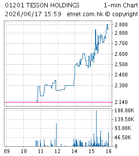 天臣控股有限公司TESSON HOLDINGS LIMITED