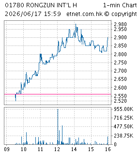 B & D STRATEGIC HOLDINGS LIMITED